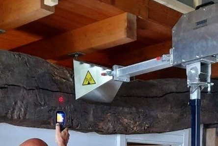 rimozione tarli del legno